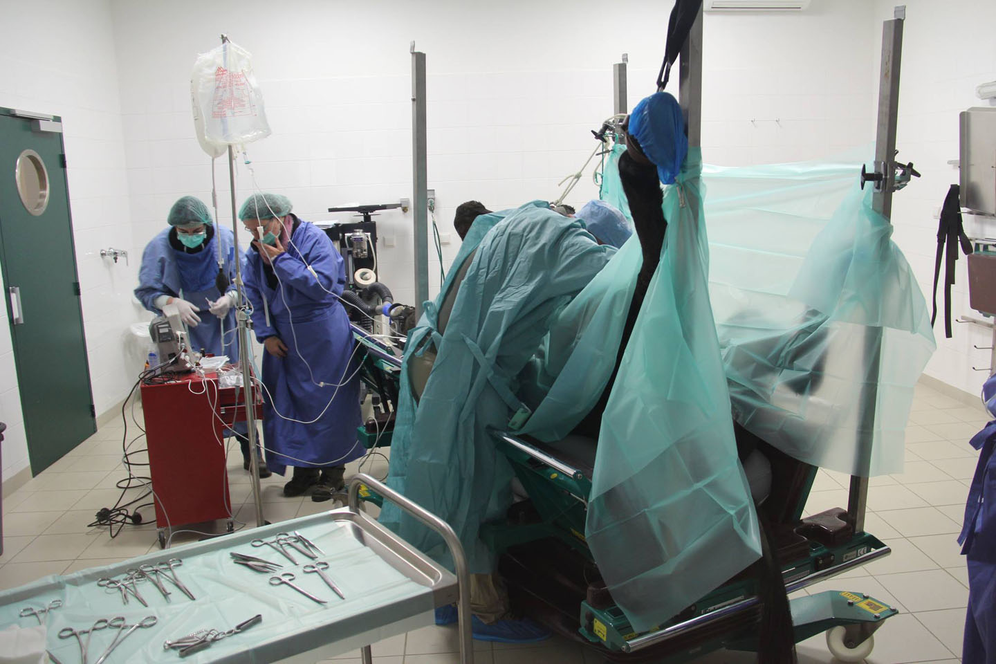 Nos intervenants - Clinique Equine de Sers